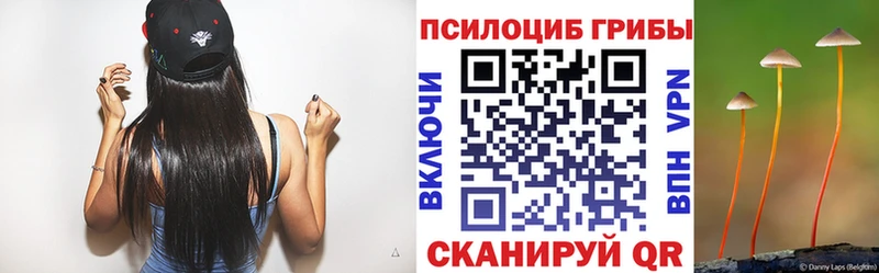 Галлюциногенные грибы MAGIC MUSHROOMS  купить закладку  Шенкурск 